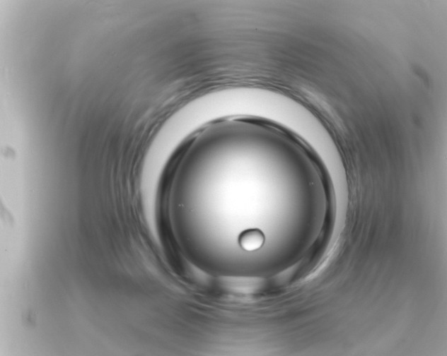 X0000090950170200708091334