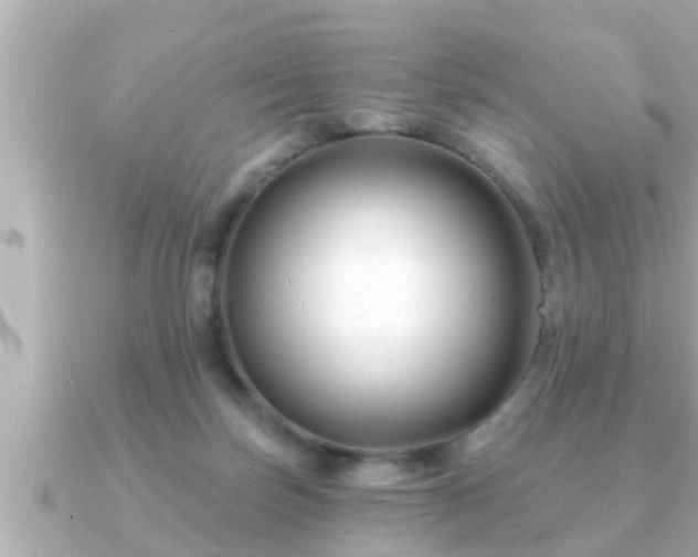 X0000090950171200708091334