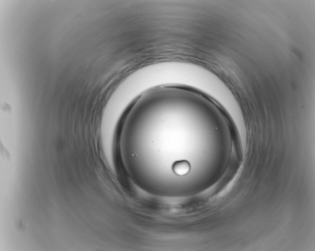 X0000090950174200708091334