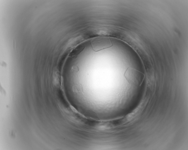X0000090950175200708091334