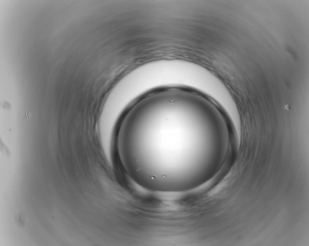X0000090950176200708091334