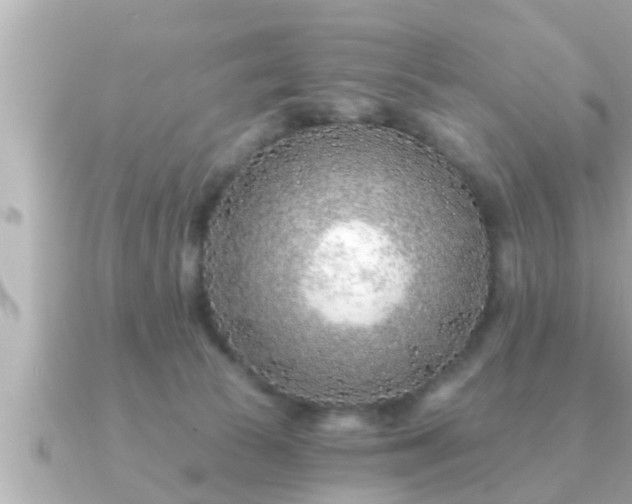 X0000090950177200708091334