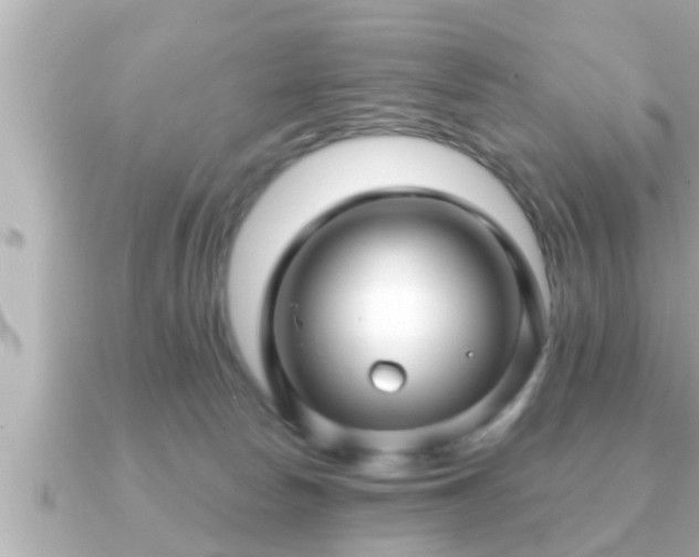 X0000090950178200708091335