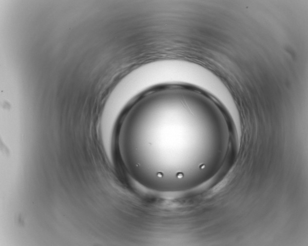 X0000090950180200708091335