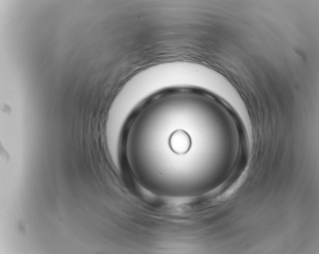 X0000090950182200708091335