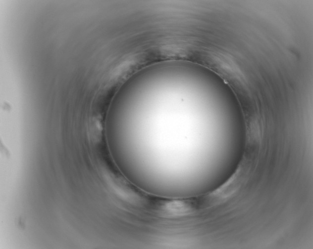 X0000090950183200708091335