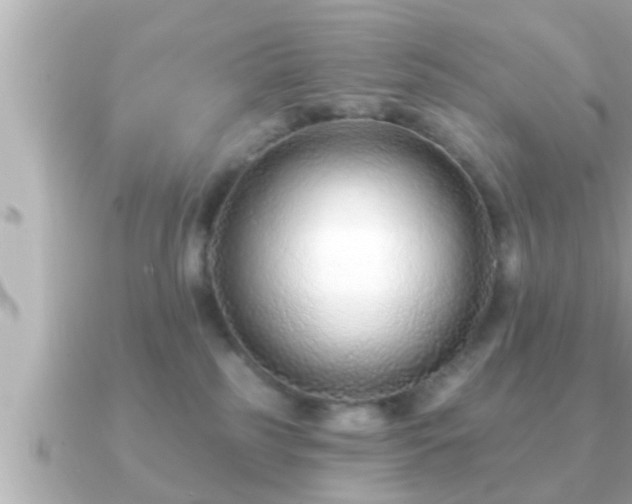 X0000090950185200708091335
