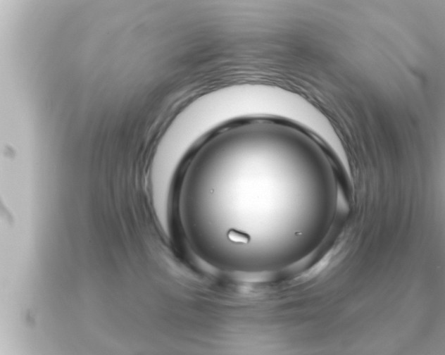 X0000090950188200708091335