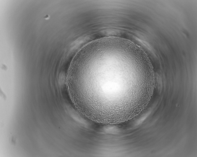 X0000090950189200708091335