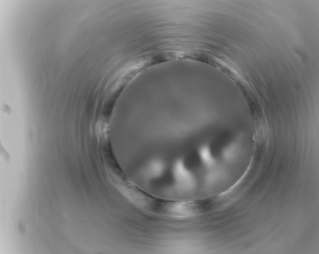 X0000090950191200708091335