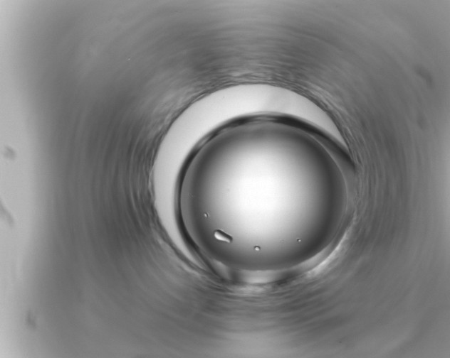 X0000090950192200708091335