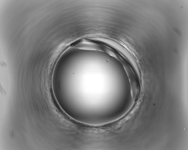 X0000090950193200708091334