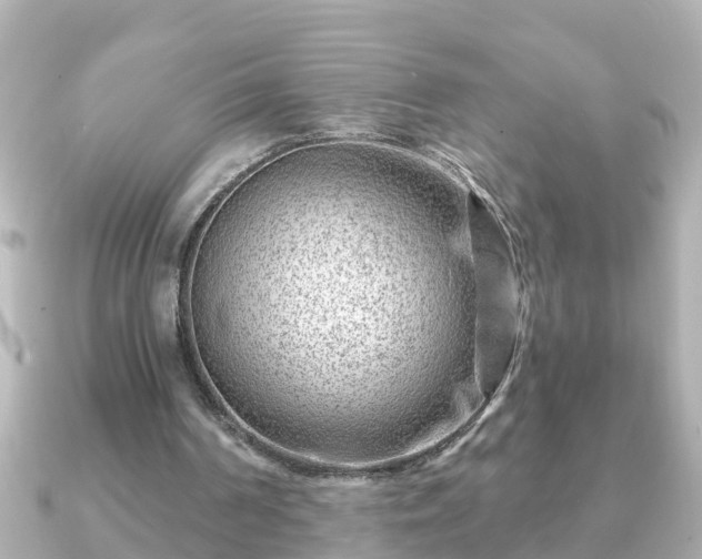 X0000090950194200708091334