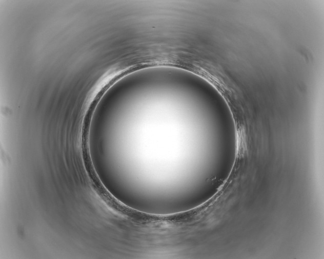 X0000090950195200708091334