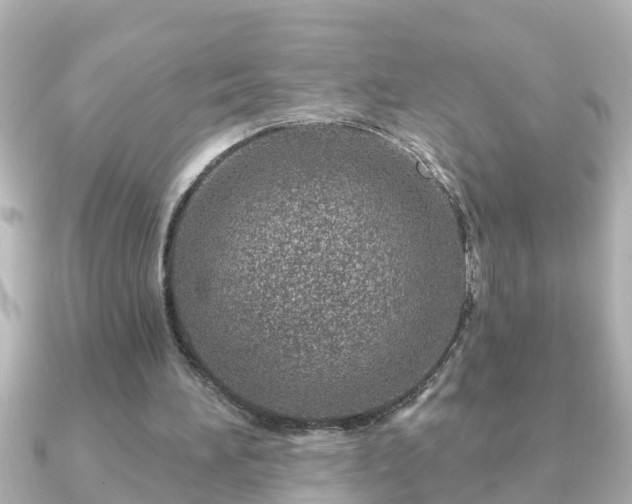 X0000090950196200708091334