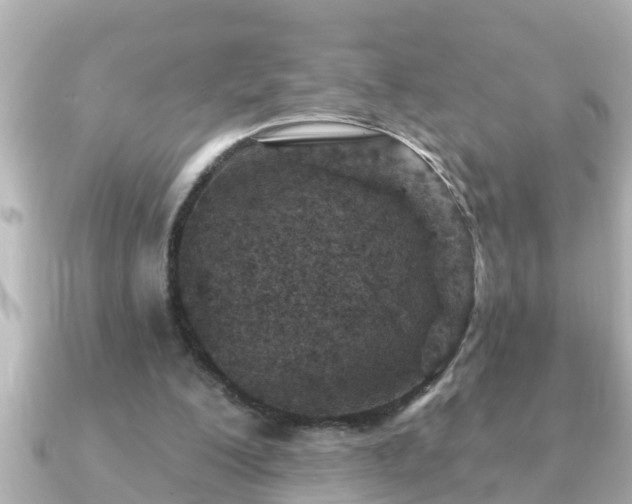 X0000090950200200708091334