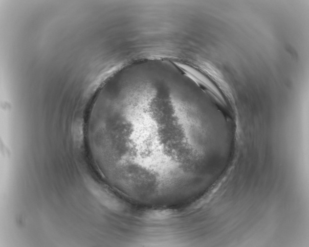 X0000090950202200708091334