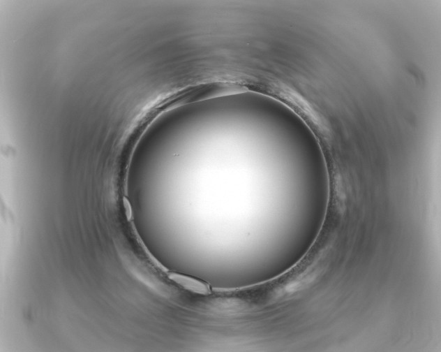 X0000090950203200708091334