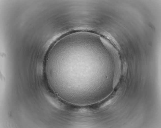 X0000090950204200708091334