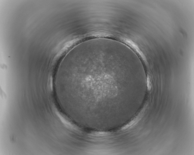 X0000090950205200708091334
