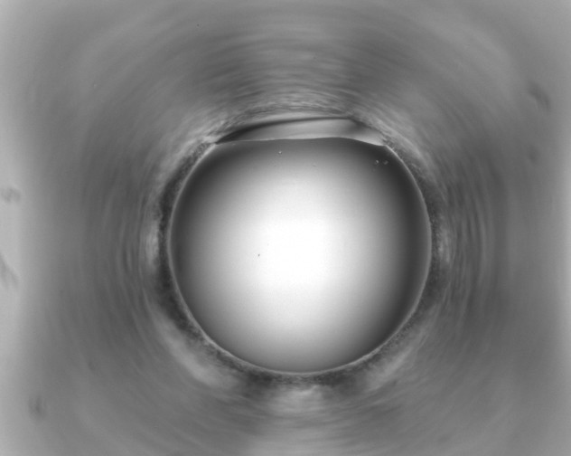 X0000090950206200708091334