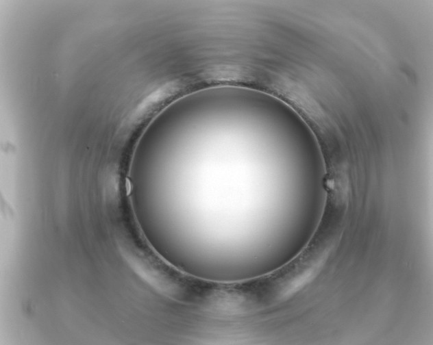 X0000090950207200708091334
