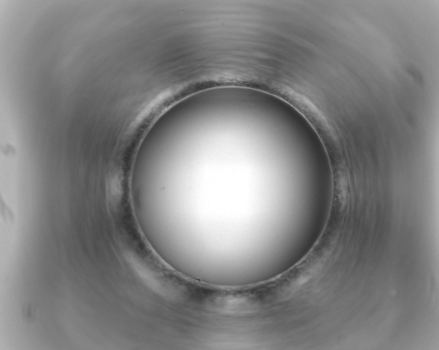 X0000090950208200708091334