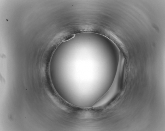 X0000090950209200708091334
