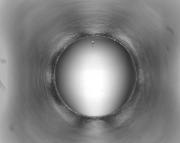 X0000090950210200708091334