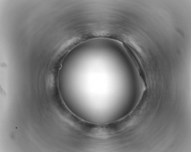 X0000090950211200708091334
