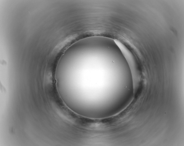 X0000090950212200708091334