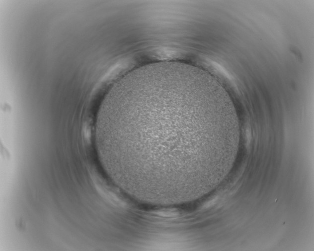 X0000090950214200708091334