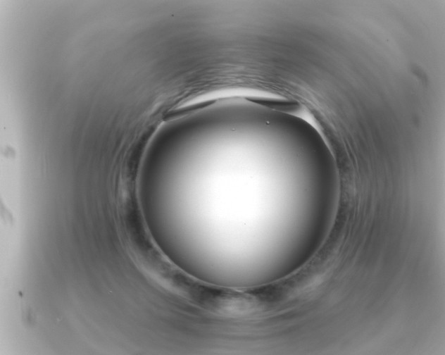 X0000090950215200708091334