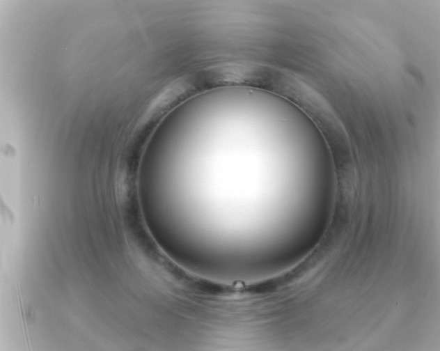 X0000090950216200708091334