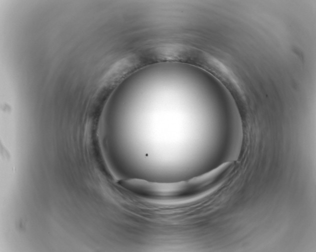 X0000090950217200708091334