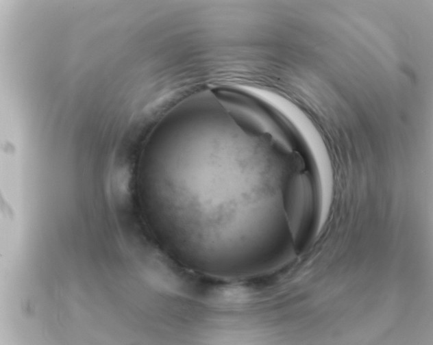 X0000090950219200708091334