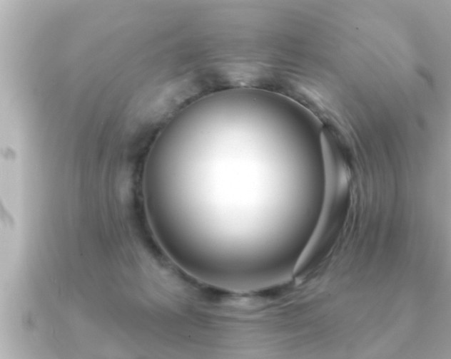 X0000090950221200708091334
