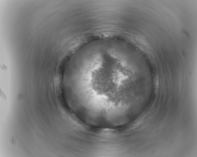 X0000090950222200708091334