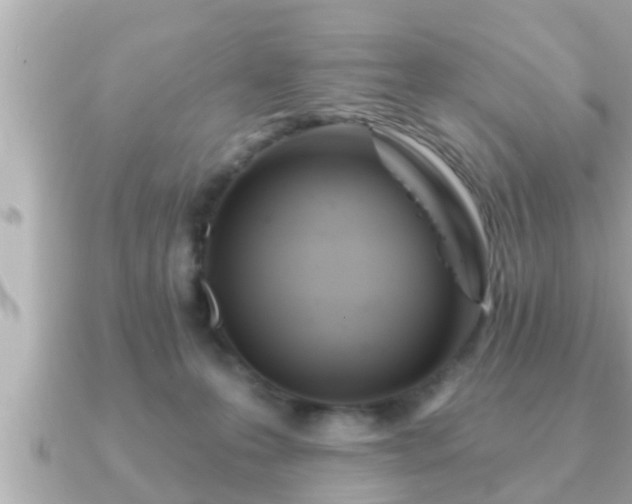 X0000090950223200708091334