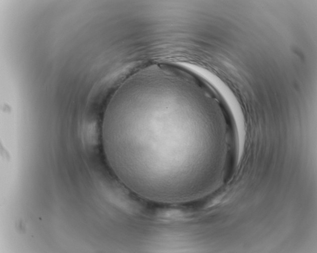 X0000090950224200708091334
