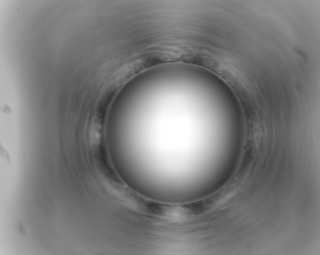 X0000090950226200708091334