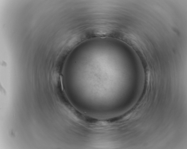 X0000090950227200708091334