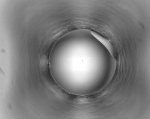 X0000090950228200708091334