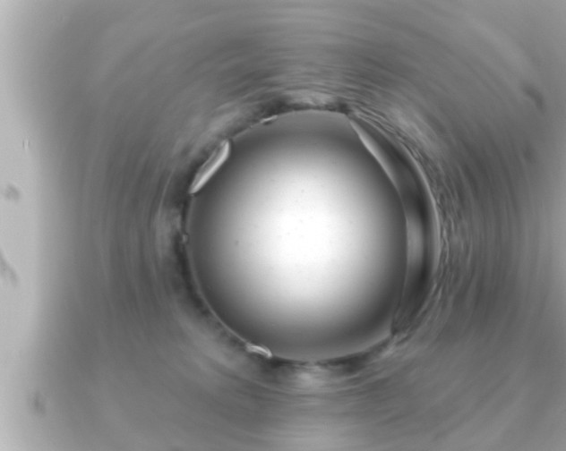 X0000090950229200708091334