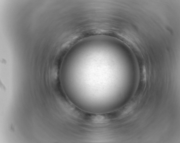 X0000090950230200708091334
