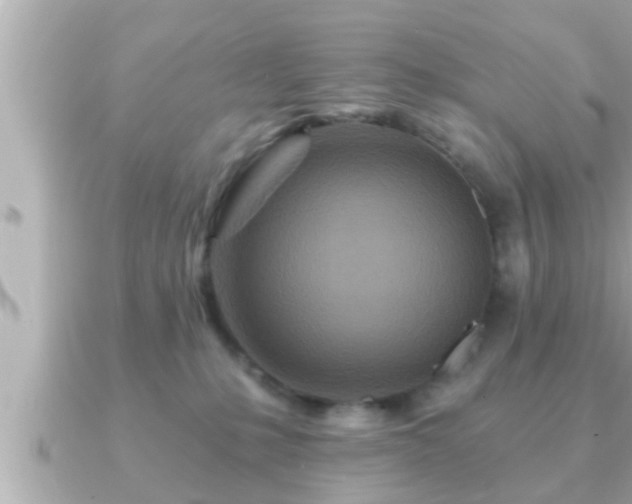 X0000090950231200708091334