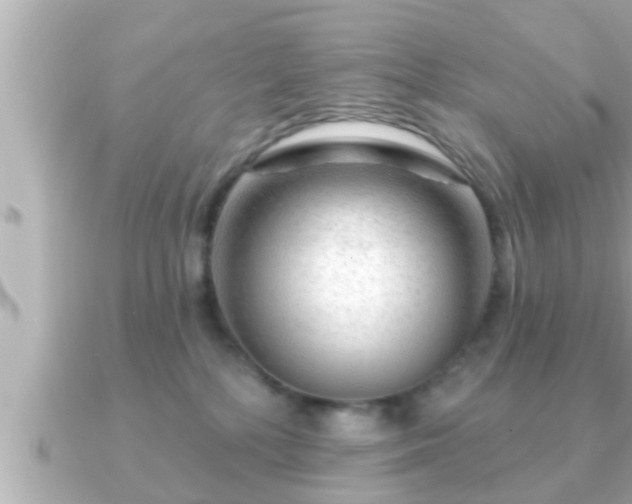 X0000090950232200708091334