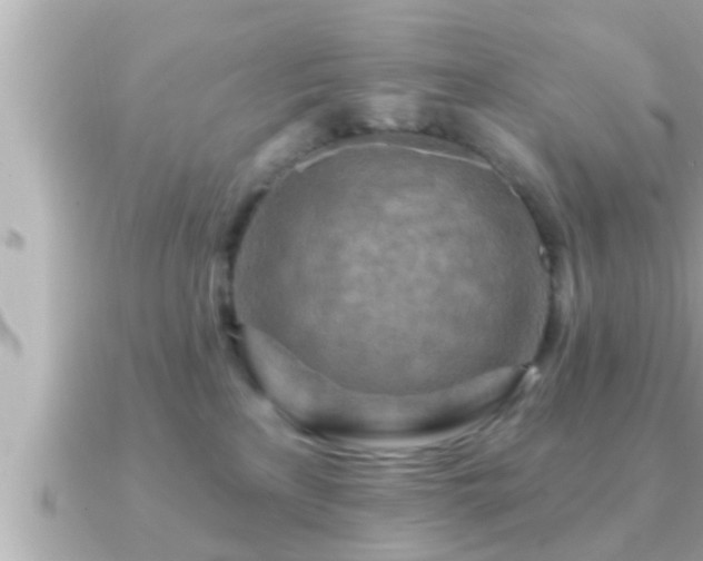 X0000090950233200708091334