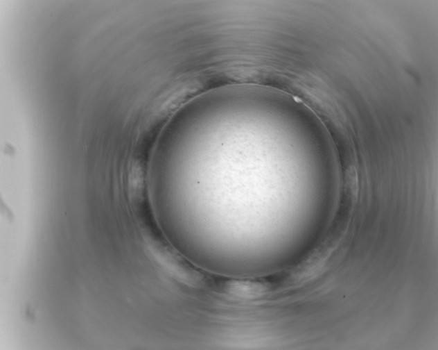 X0000090950234200708091334