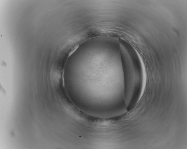 X0000090950235200708091334